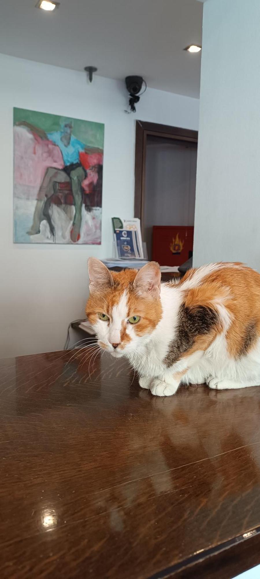 Inoh Hotel Atina Dış mekan fotoğraf